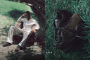 ADIDAS INTIMIDATION LOW X GUADALUPE