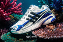 ADIDAS ADISTAR JELLYFISH