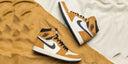 JORDAN RETRO 1 "ROOKIE OF THE YEAR" - HYPE